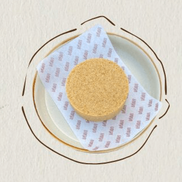 تشيز مقلوب (Cheesecake)